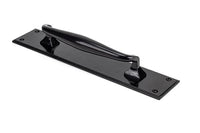 Pull Handle on Backplate