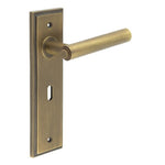 Door Handles on Backplate