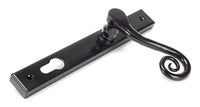 Left-Handed Monkeytail Slimline Lever Espag. Lock Set