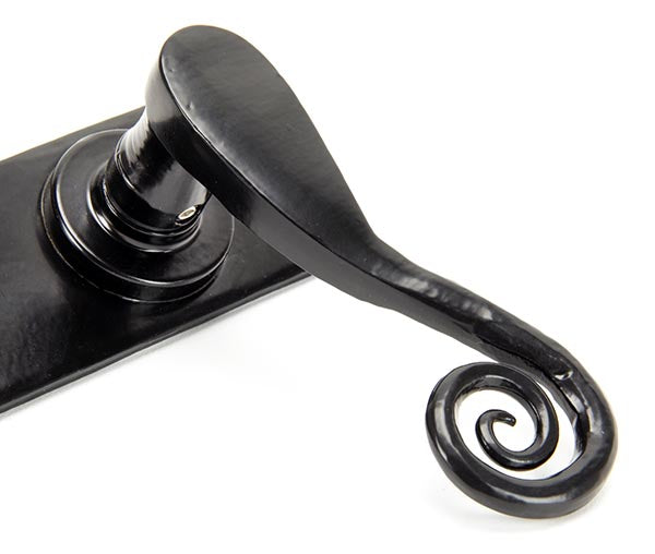 Monkeytail Lever Latch Set