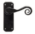 Monkeytail Lever Latch Set