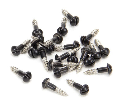 3 x 12 Black SS  Roundhead Screws (25)