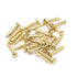 6 x ¾" Countersunk Raised Head Screws (25)