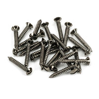 6 x 1" Countersunk Raised Head Screws (25)
