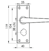 Solid Brass - Windsor Short Door Handle on Plate - PB (Privacy Set)