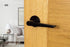 Tupai Rapido 5S Line Torrao Lever Door Handle on 5mm Slimline Round Rose