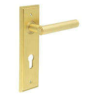 Burlington Richmond Lever on Plate