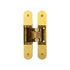 Ghost Concealed Hinges 160mm