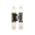 Ghost Concealed Hinges 160mm
