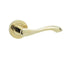 Gamma Door Handles