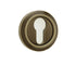 Parisian Euro Profile Escutcheon