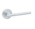 Rosetta Door Handles