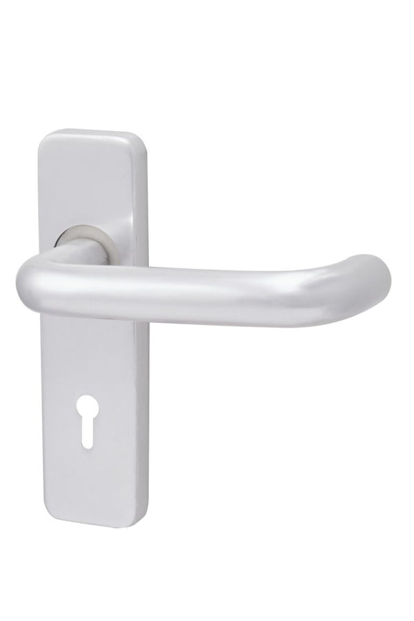 SAA 19mm Dia Safety lever on Plate - Lever Key